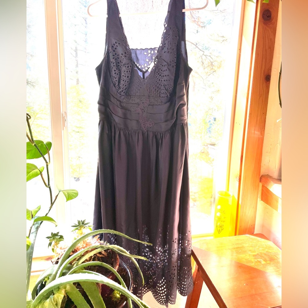 Silk Anthropologie Bodice Dress, size 12